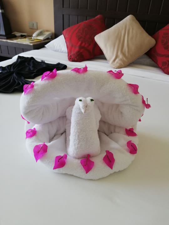 Zimmer TUI MAGIC LIFE Kalawy