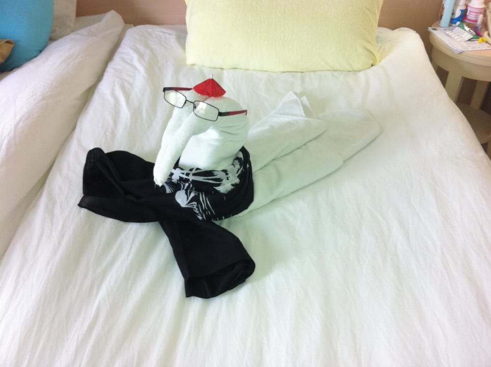 Herr Professor Can Garden Beach