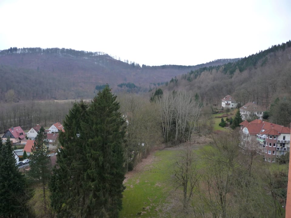 Ausblick vom Balkon Panoramic - Ihr Apartmenthotel im Harz