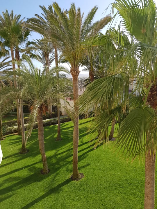 Gartenanlage Hotel Riu Palace Tres Islas