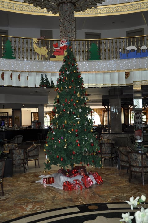 O Tannenbaum Side Crown Palace