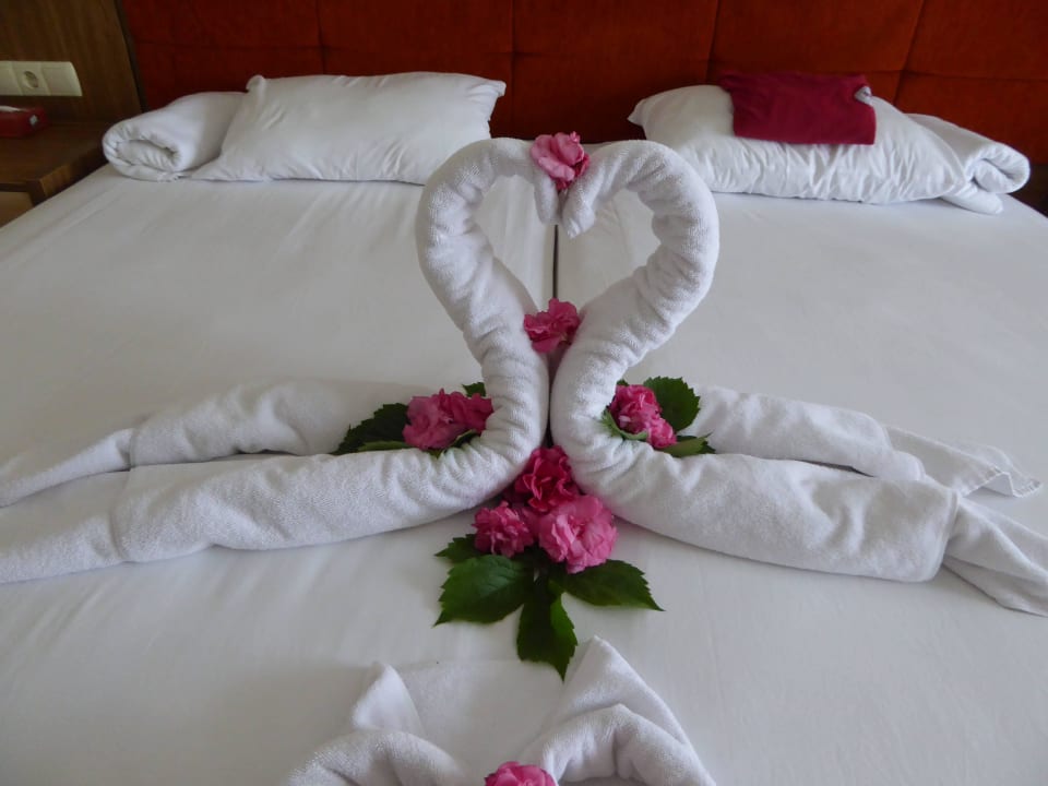 Wunderbar fürs Auge und die Nase TUI BLUE Palm Garden