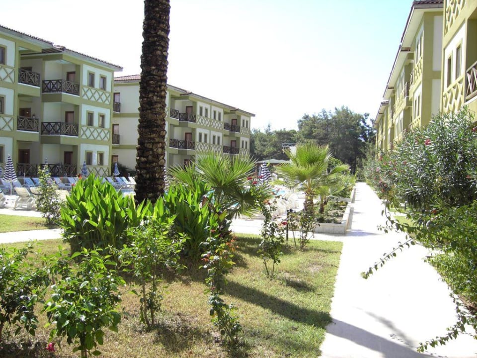 Hinter Palmen Hotel Lagonya Garden