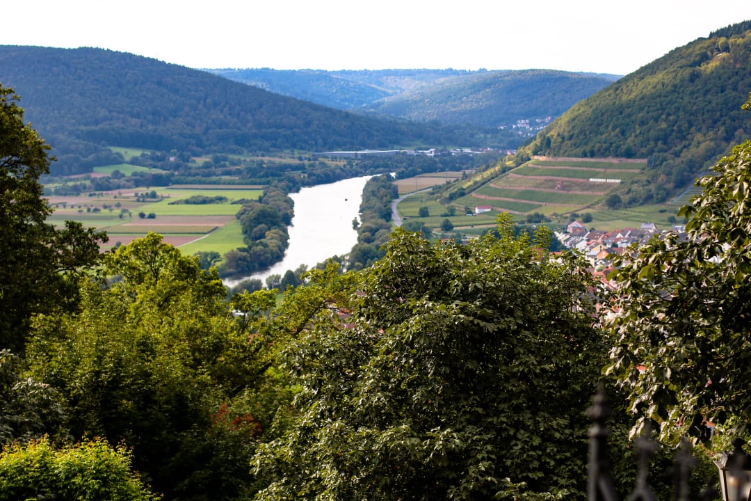 Ausblick Hotel & Restaurant Rosenbusch