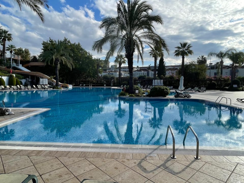 Pool Side Star Elegance