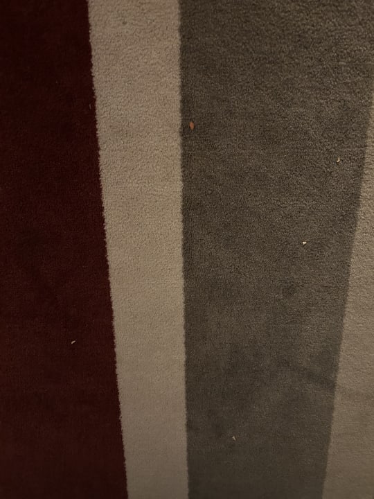 Zimmer H+ Hotel Bad Soden