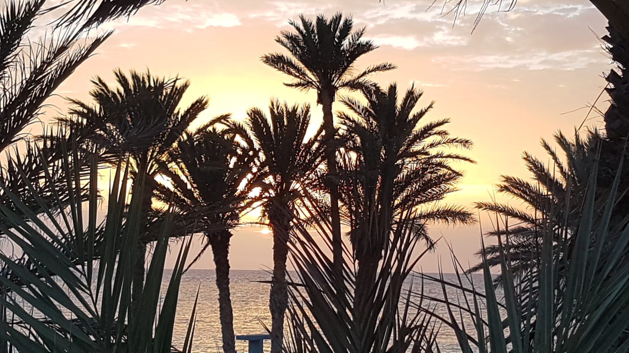 Ausblick Hotel El Mouradi Djerba Menzel