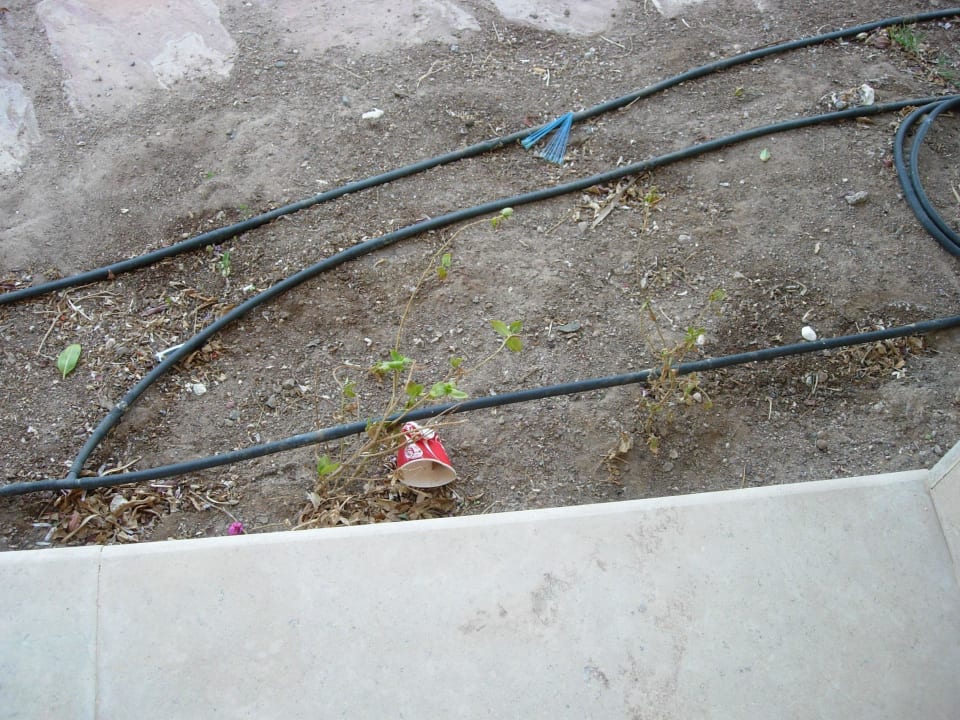 Widok z tarasu Mosaique Beach Resort Taba Heights