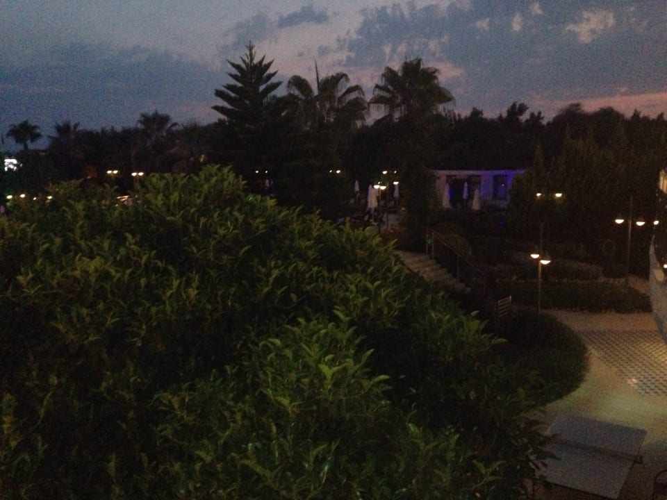 Gartenanlage Commodore Elite Suites & Spa - Adults only