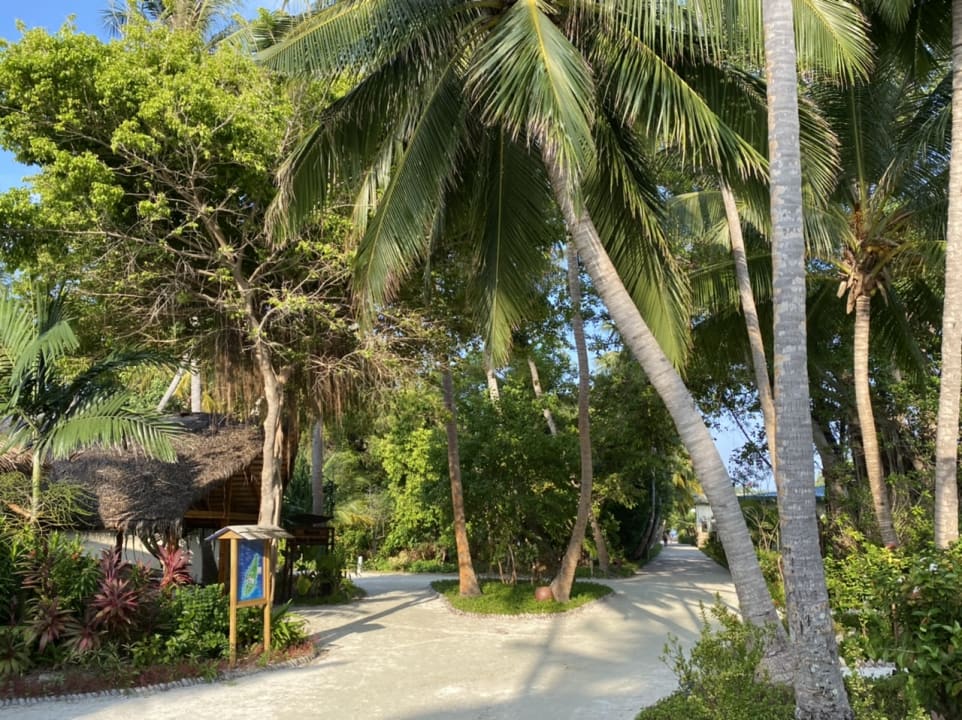 Gartenanlage Meeru Maldives Resort Island