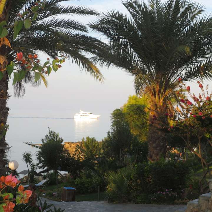 Blick durch den Palmengarten aufs Meer Crystal Springs Beach Hotel