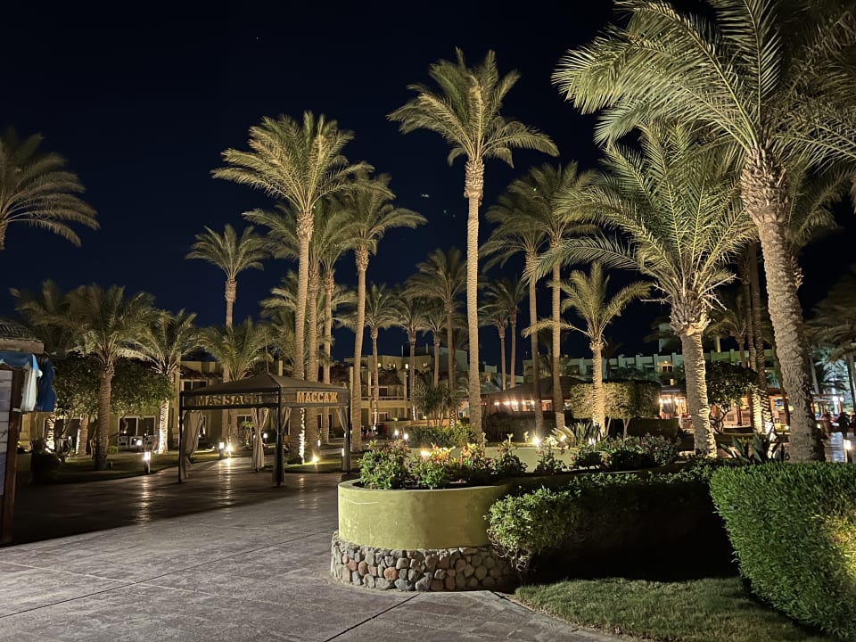 Gartenanlage Palm Beach Resort