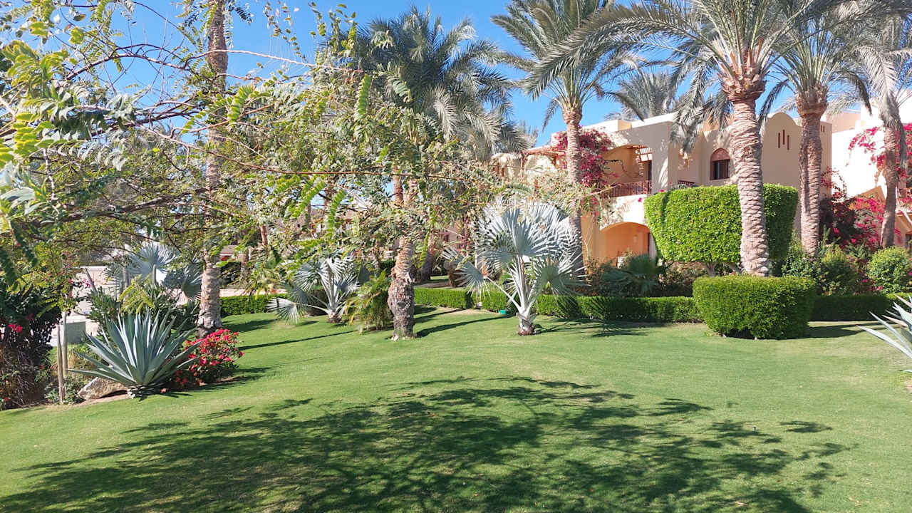 Gartenanlage Steigenberger Coraya Beach - Adults only