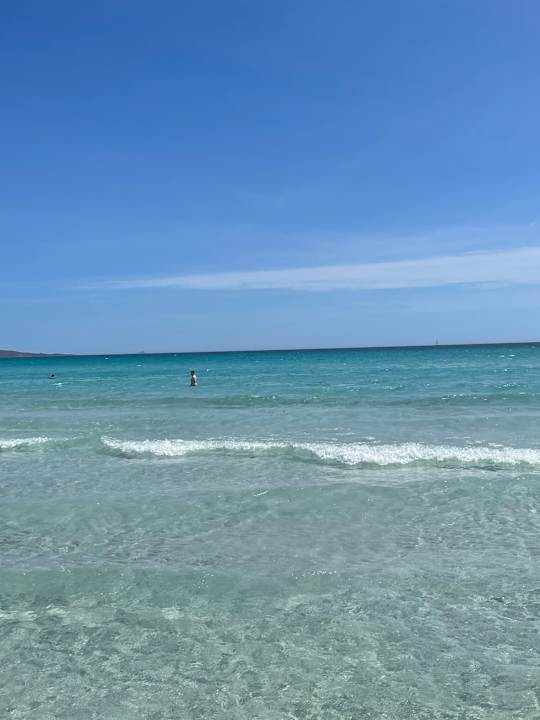 Strand Hotel Fenicottero Rosa