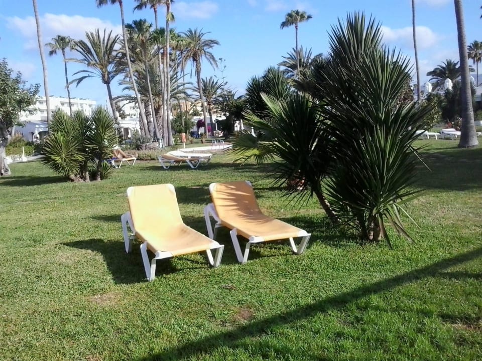Ein schöner Platz Sahara Beach Club