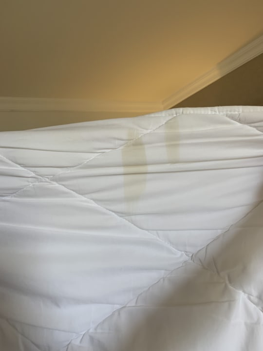 Zimmer Well Palace Side