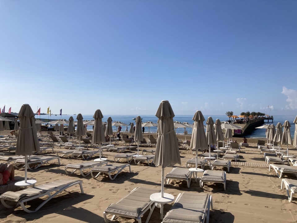 Strand Arum Barut Collection