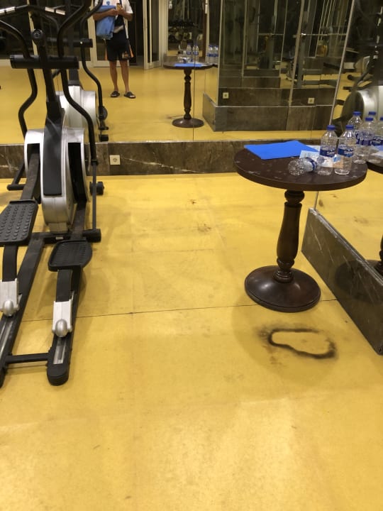 Sport & Freizeit Well Palace Side