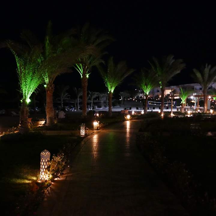 Gartenanlage Coral Sun Beach