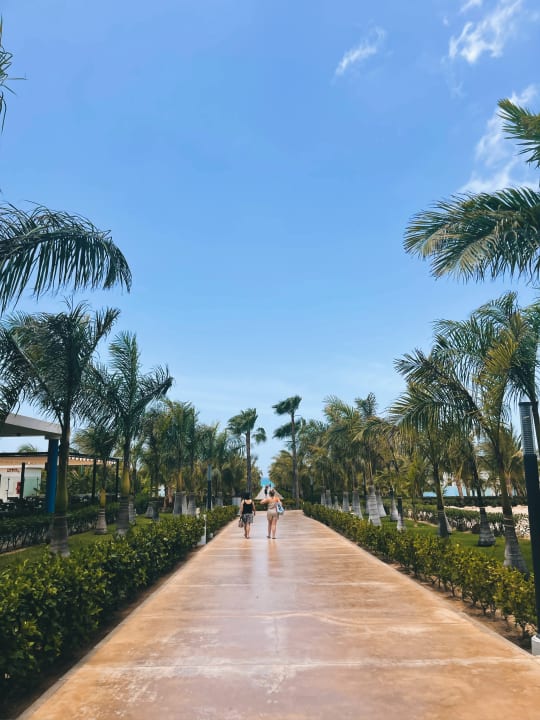 Außenansicht Hotel Riu Palace Boavista