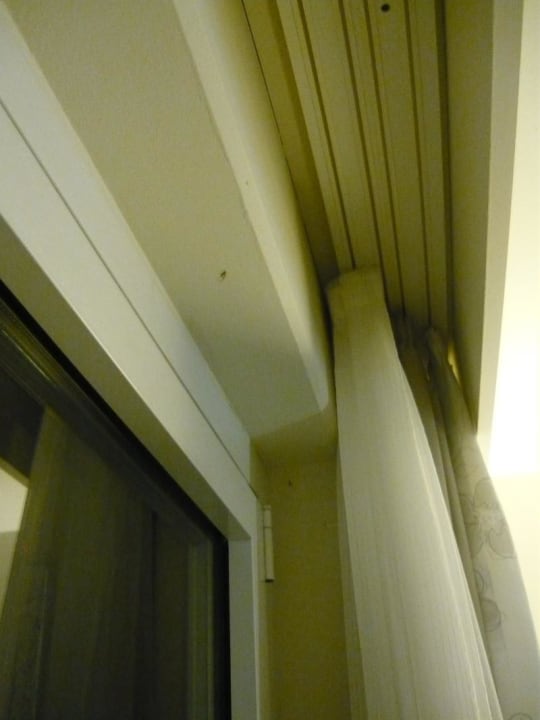 "Insektenleichen" Estrel Hotel Berlin