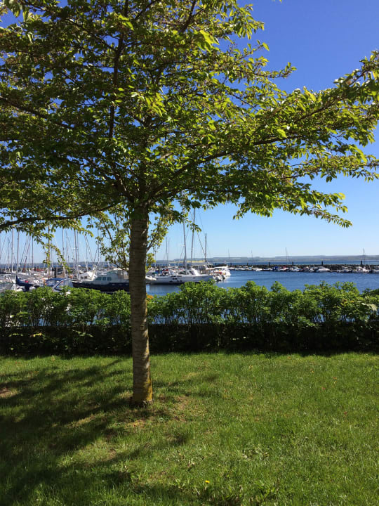 Ausblick Lindner Hotel Boltenhagen, part of JdV by Hyatt