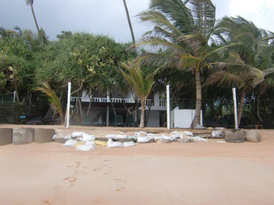 Aktueller Blick zum Startbild des Anbieter´s Hotel Haus am Meer Wilde Ananas