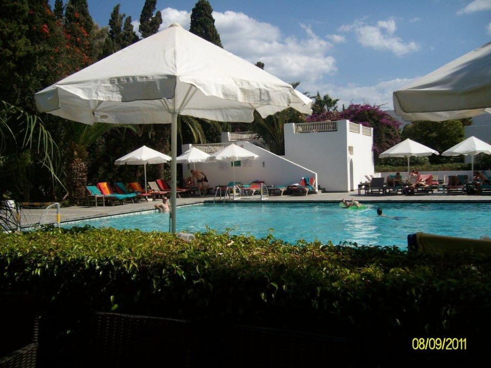 Pool The Orangers Beach Resort and Bungalows