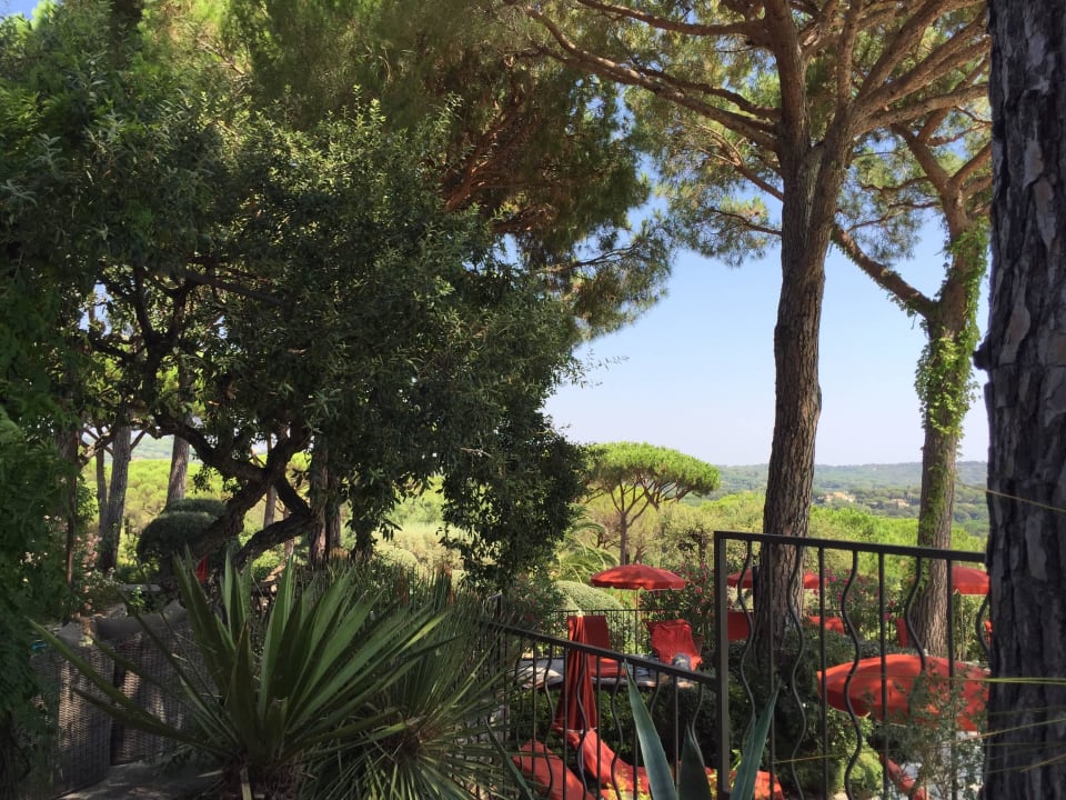 View from the pool bar Hotel Villa Marie