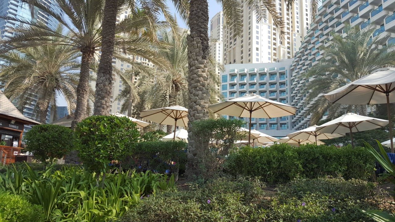 Garten Hilton Dubai Jumeirah