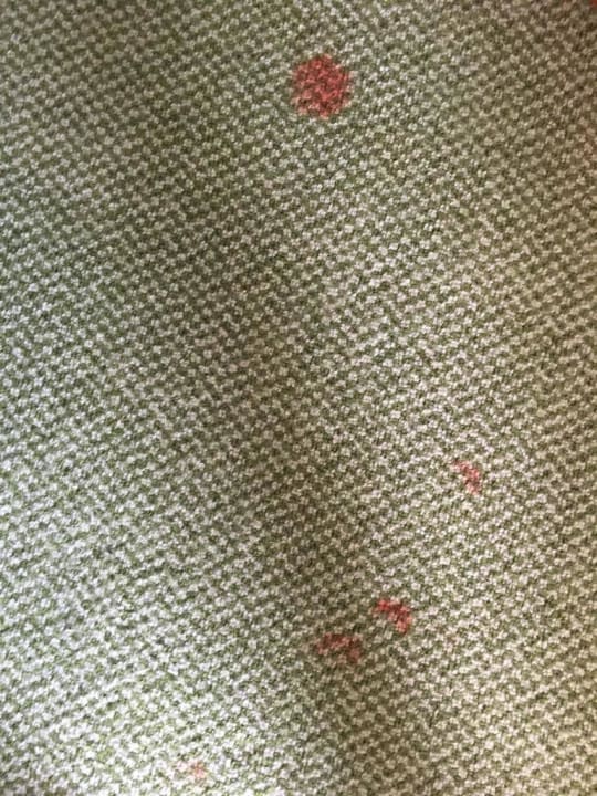 Flecken Teppich Hotel Riu Oliva Beach Resort