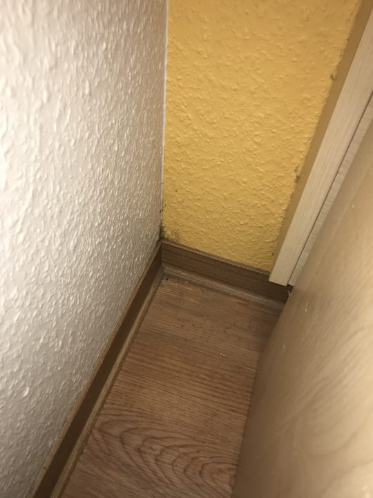 Zimmer Center Parcs Park Bostalsee