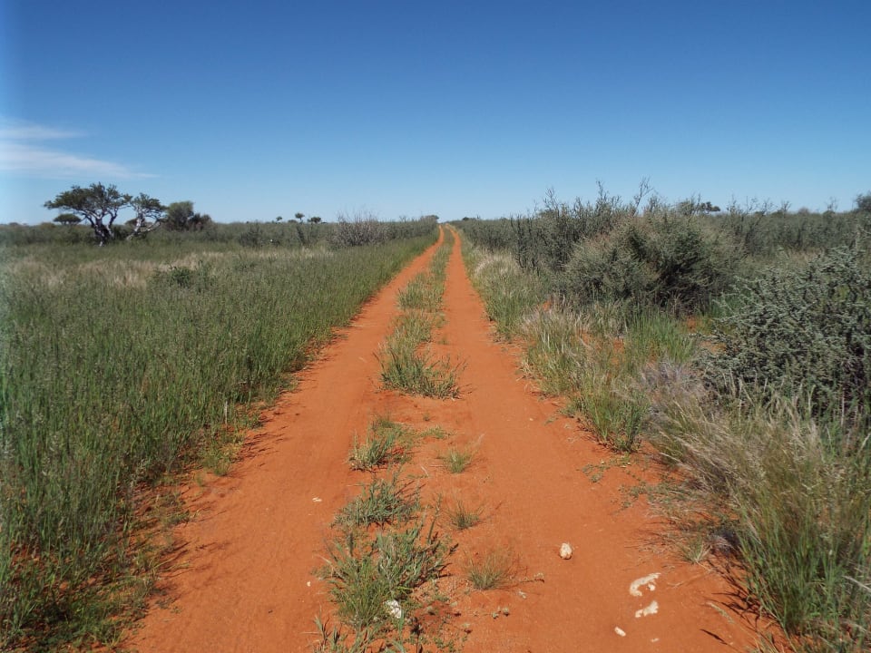 Wanderweg auf der Lodge Kalahari Anib Lodge