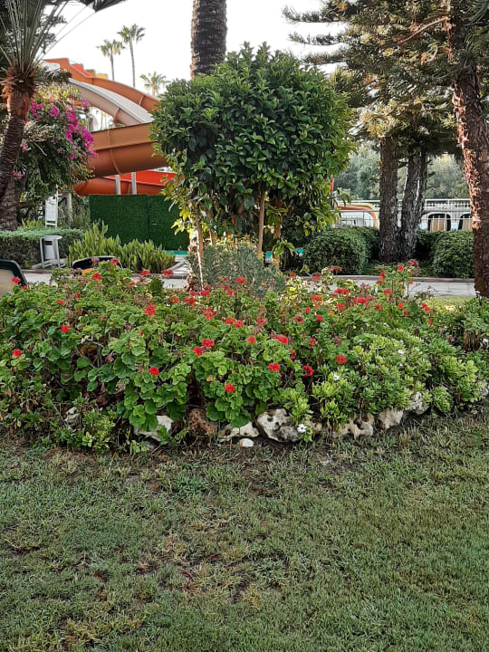 Gartenanlage Side Sun Hotel