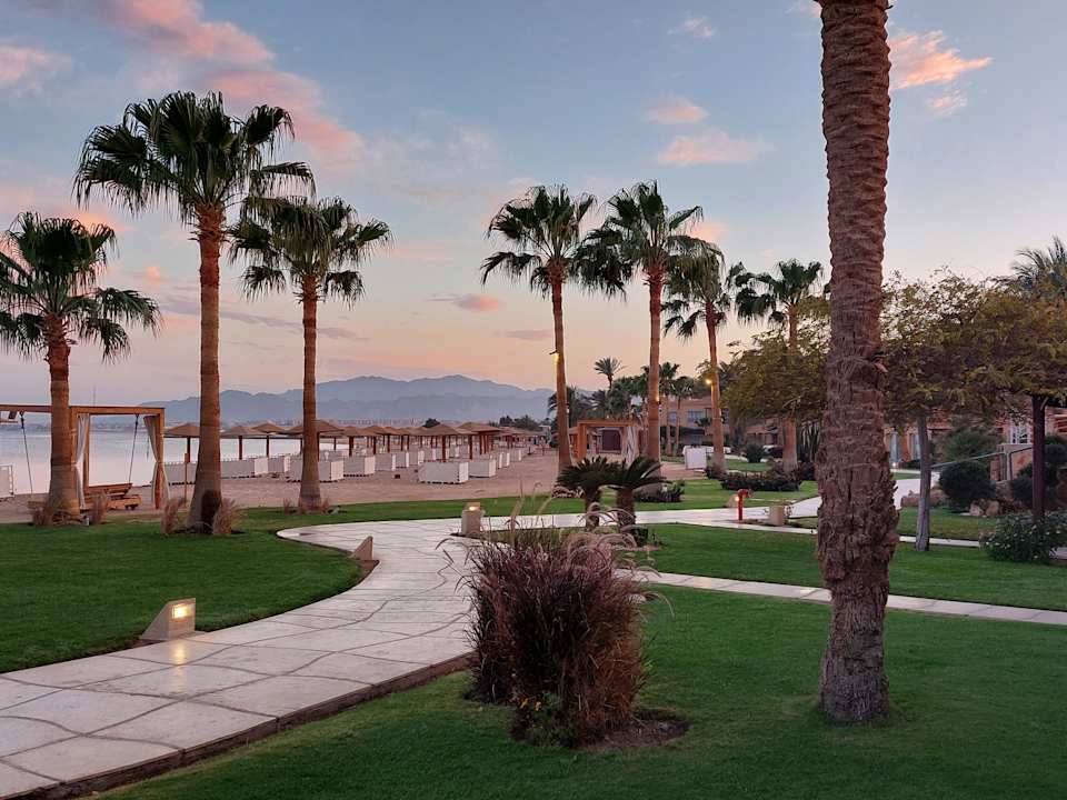 Gartenanlage Shams Prestige Abu Soma-Adults Only