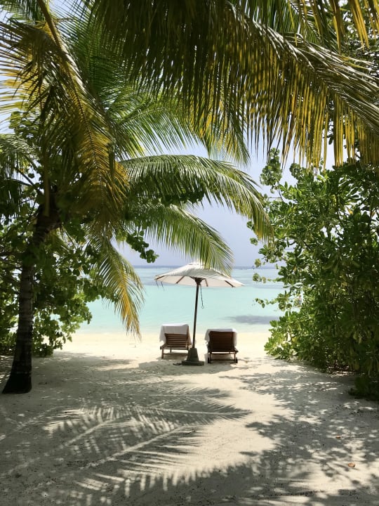 Ausblick LUX South Ari Atoll