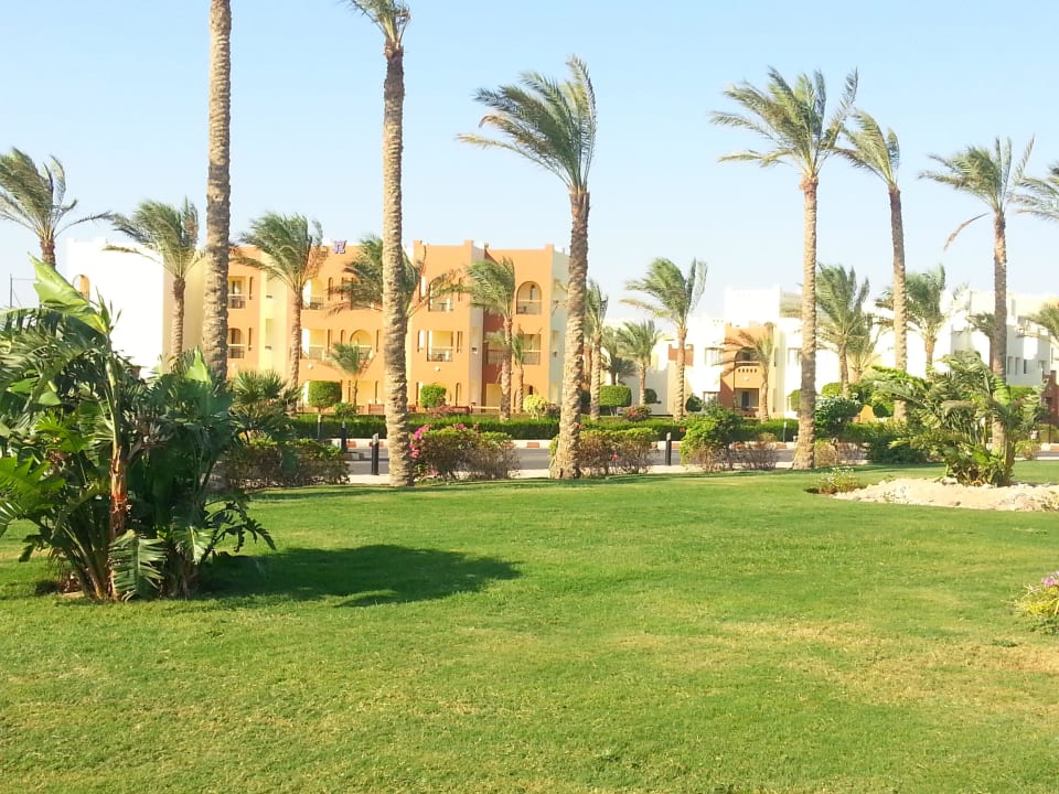 Grounds SUNRISE Royal Makadi Resort