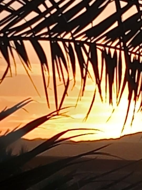 Ausblick Steigenberger Coraya Beach - Adults only