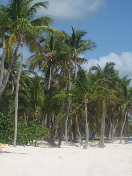 Hotel-Strand  Catalonia Punta Cana - All Inclusive