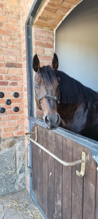 Sport & Freizeit Pałac Ciekocinko Hotel Resort & Wellness