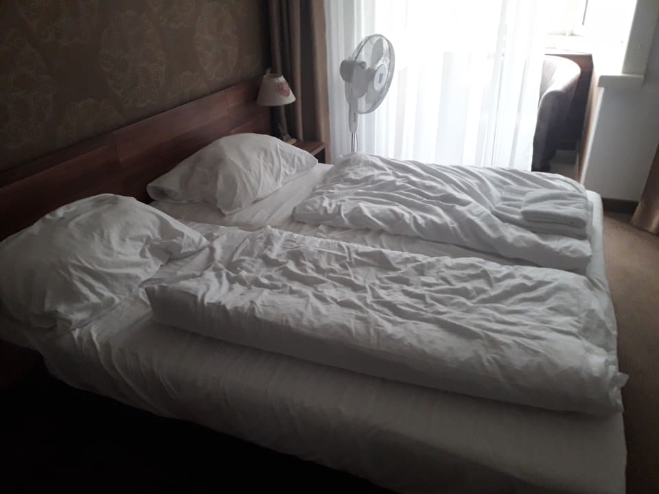 Zimmer Hotel Enziana Wien