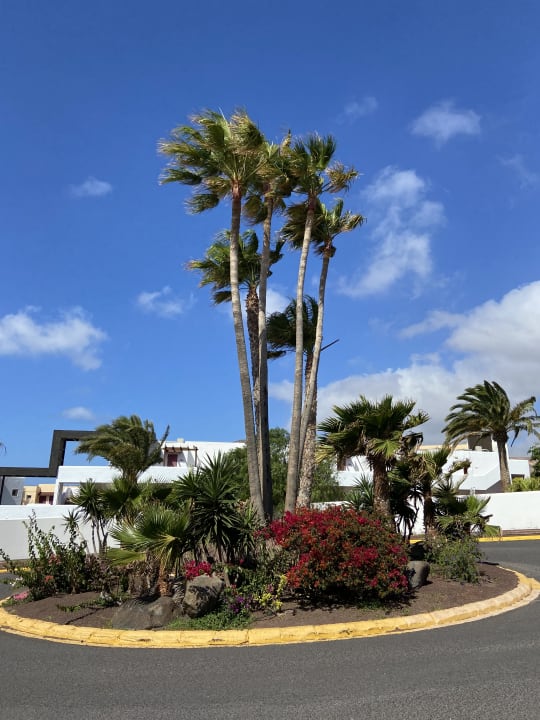 Gartenanlage ROBINSON ESQUINZO PLAYA