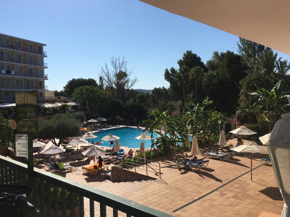 Pool Valentin Reina Paguera