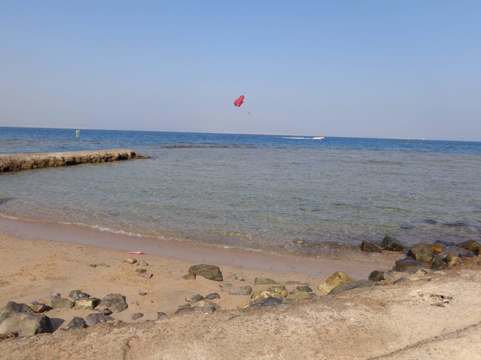 Коралы Desert Rose