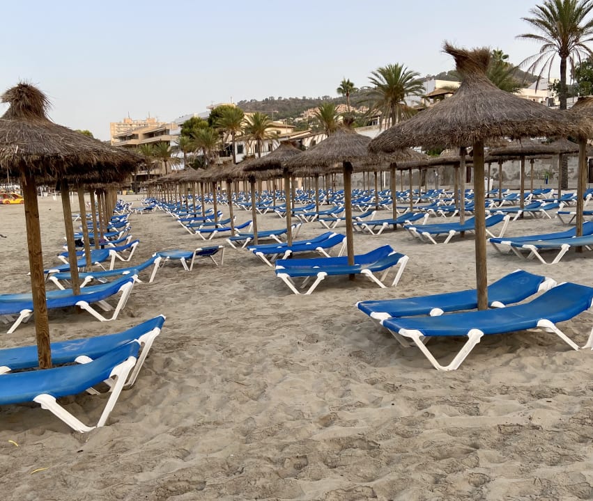 Strand FLOR los Almendros Hotel