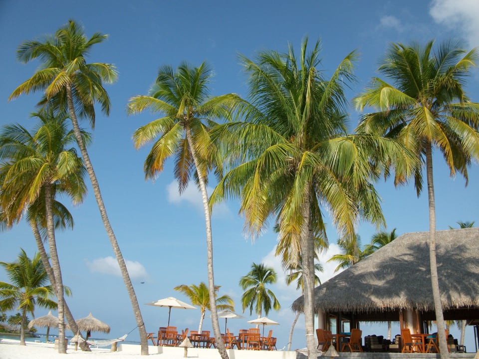 Hotel Veligandu Island Resort Veligandu Maldives Resort Island