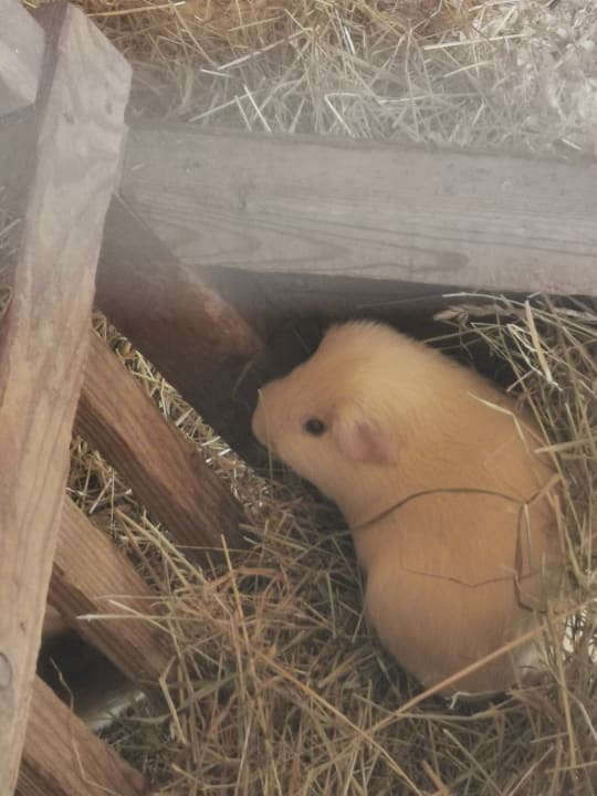 Sport & Freizeit Lerchs Landhotel