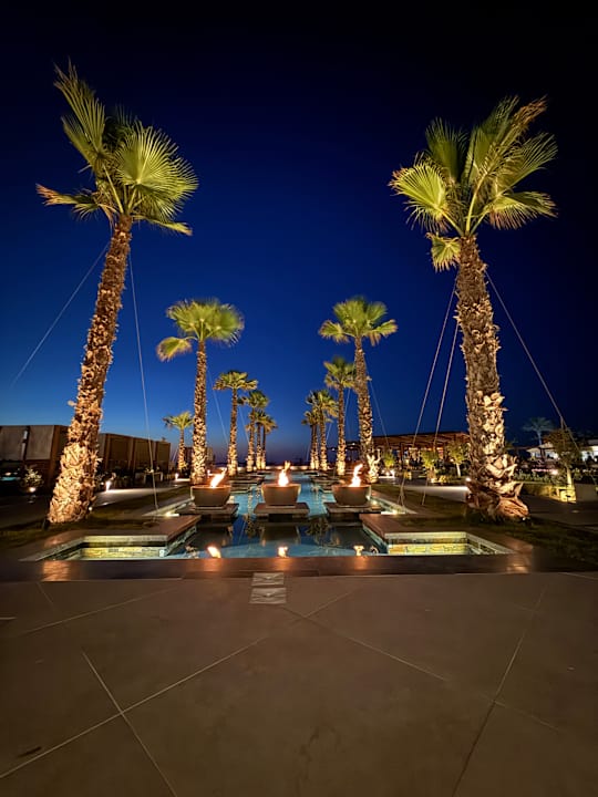 Gartenanlage allsun Hotel Carolina Mare