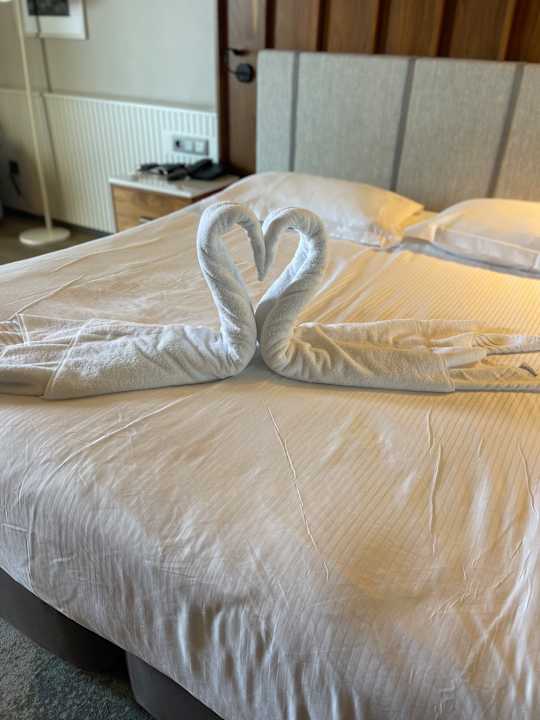 Zimmer Seaden Quality Resort & Spa