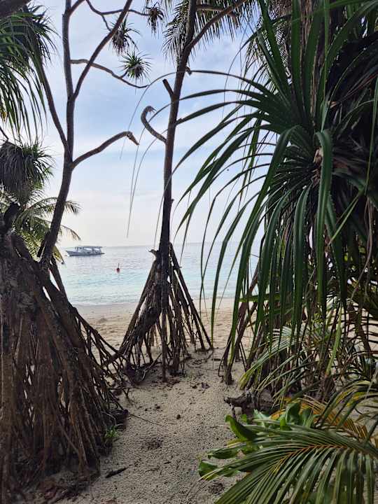 Gartenanlage Fihalhohi Maldives